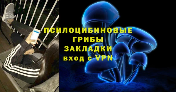 соль ск Верхнеуральск