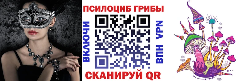 дарнет шоп Печоры Псилоцибиновые грибы мухоморы