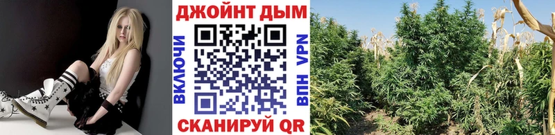Шишки марихуана планчик Печоры